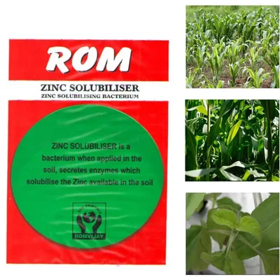 ROM 5 kg Zinc Solubliser | Bio Fertilizer | Plant Growth Promoter for Agriculture